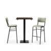 "Bourbon-Bar-Chairs-in-Fern-with-Solid-Wood-Walnut-square-Forza-Poseur-table.jpg"